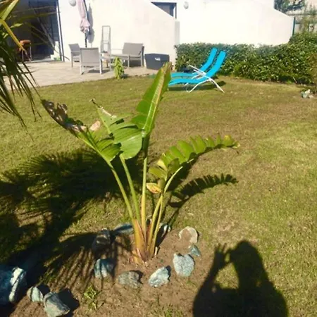 4-5 Personnes Duplex En Bord De Mer ! 別荘 ボルゴ